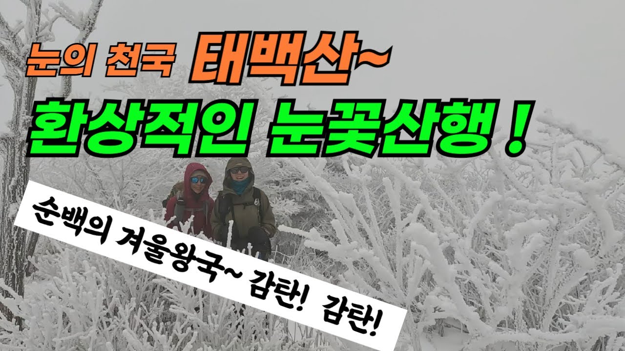 25년12월 12일 태백산 설경 환상적인 눈꽃과 상고대! (유일사-문수봉-당골)