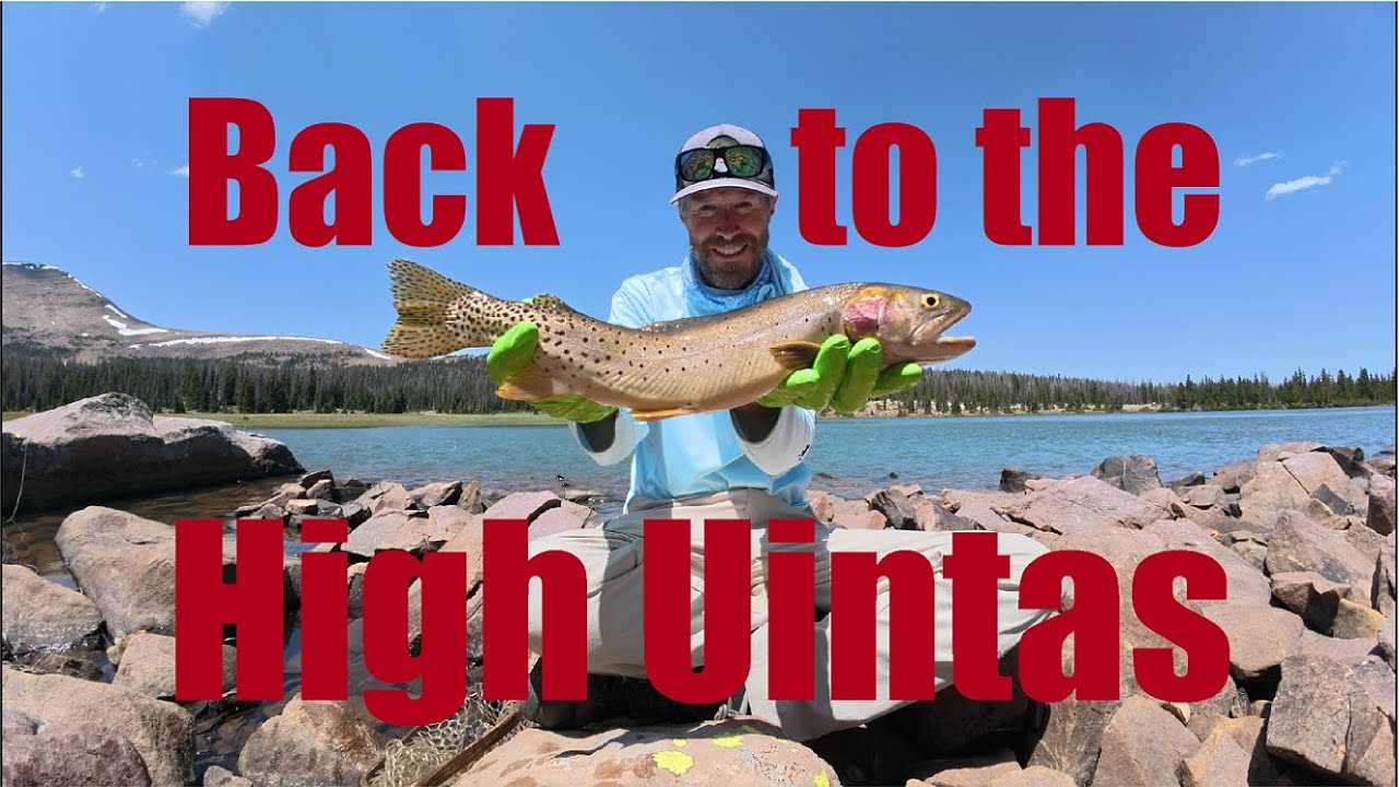 Backpacking for big fish at some favorite lakes in the High Uintas - part 1