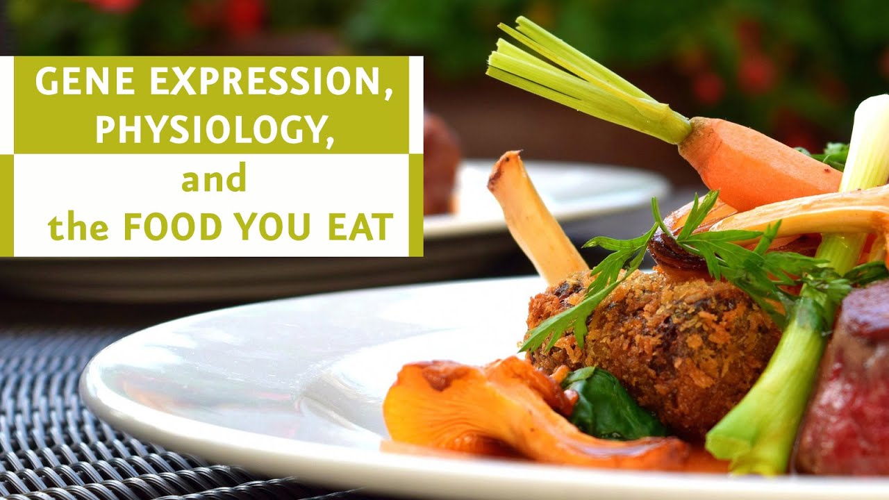 Gene Expression, Physiology, and the Food You Eat