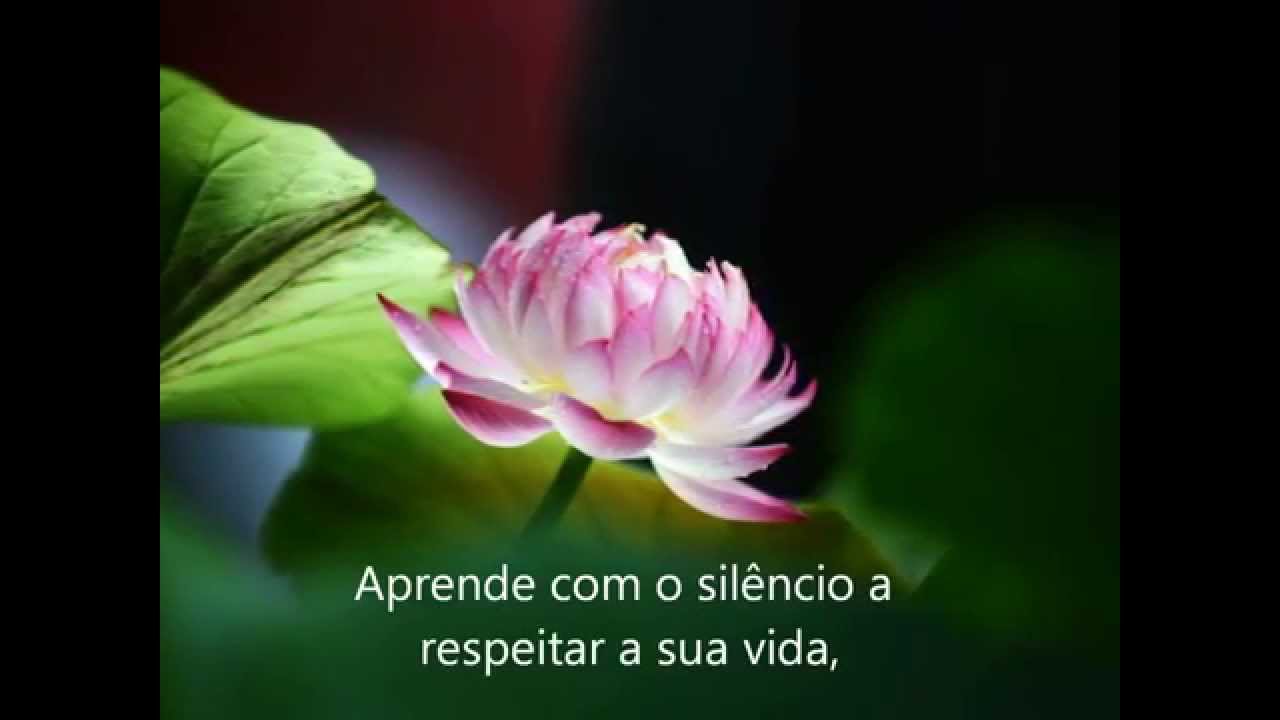 Aprende com o Silêncio - Jean-Yves Leloup