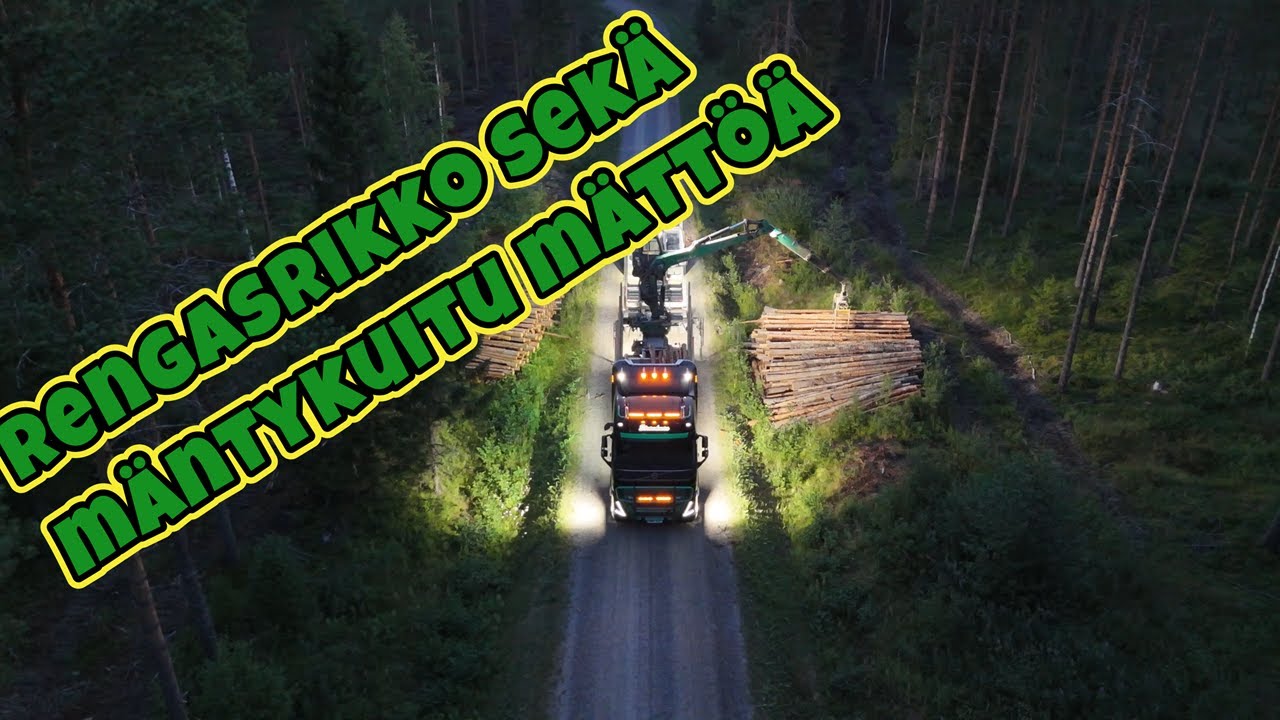 Rengasrikko sekä mäntykuitu mättöä