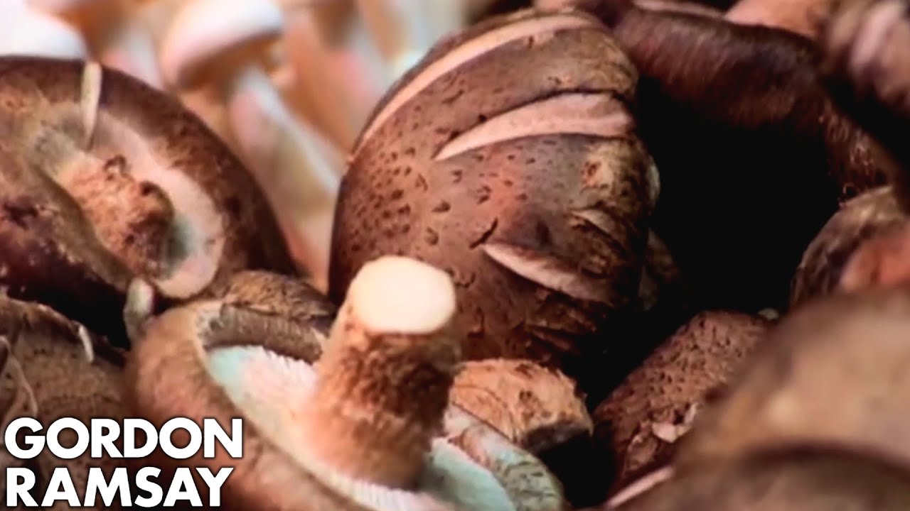 An Expert's Guide to Mushrooms | Gordon Ramsay