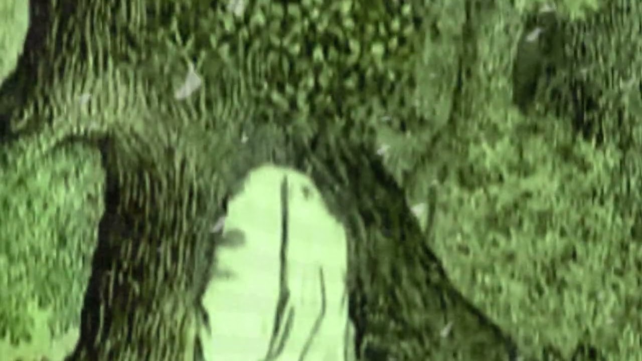 AMYGDALATEST_02 (Official Promo Visualiser)