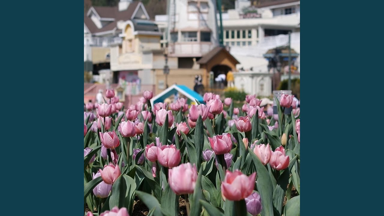 Flower Garden