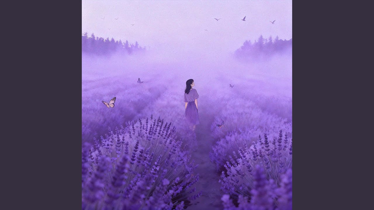 薰衣草的泪