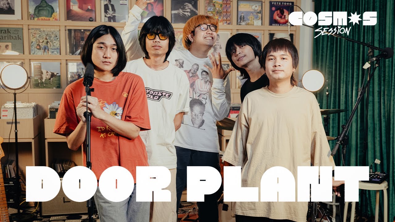 DOOR PLANT | COSMOS Session