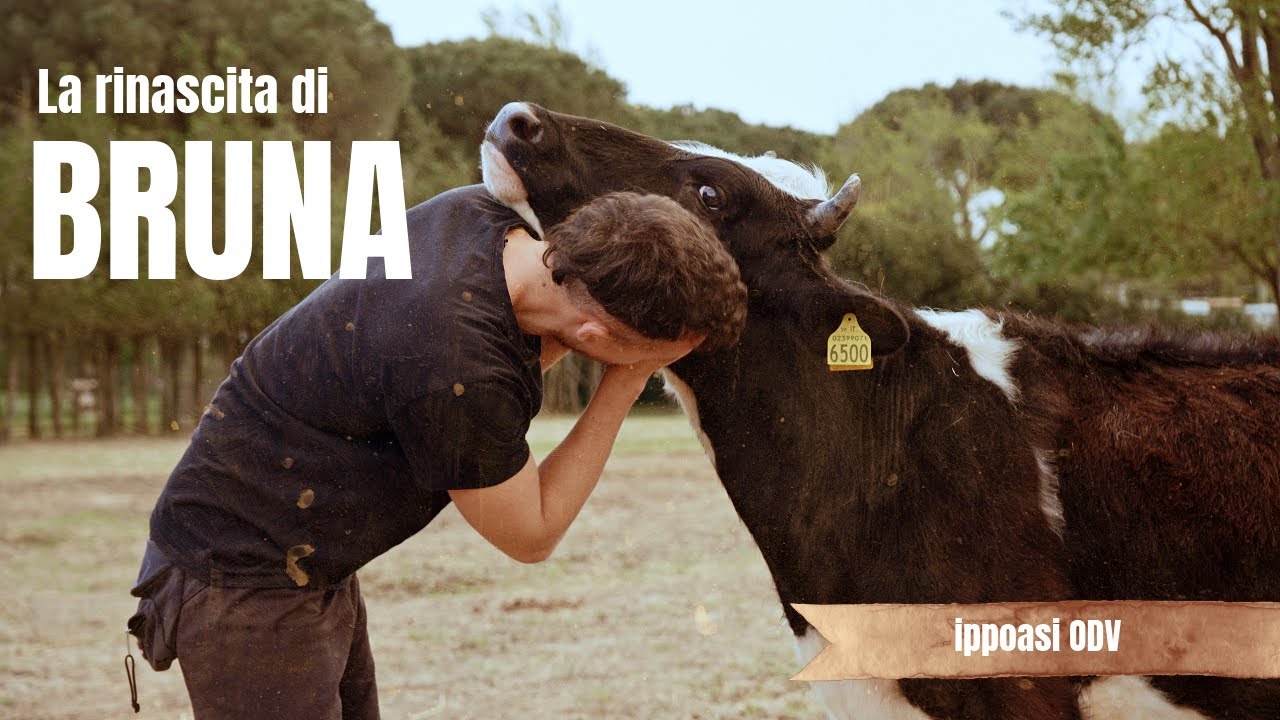 La rinascita di Bruna
