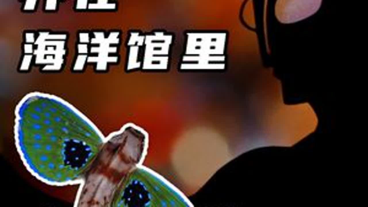 童年照进现实！一家养着奥特曼怪兽的海洋馆!郑州海洋馆 郑州海洋馆 奥特曼 自然奇境科普季  春日盛放  海水鱼珊瑚