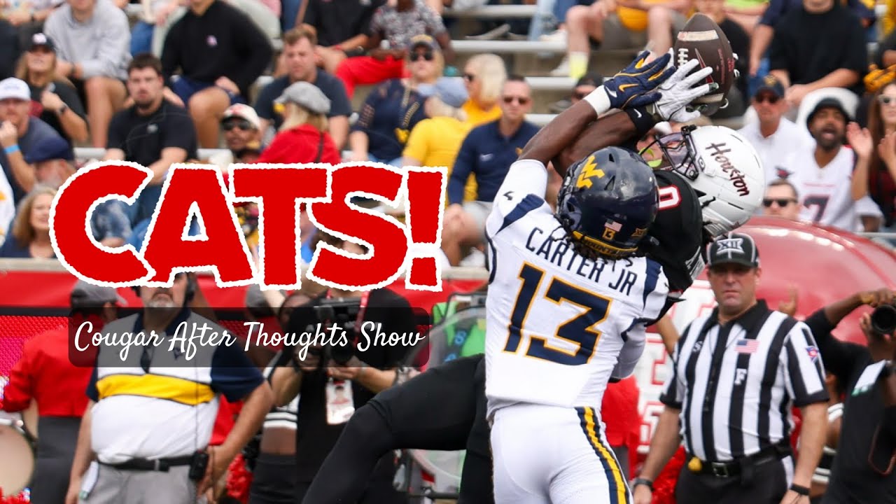 Space Game CATS! Live from Orlando