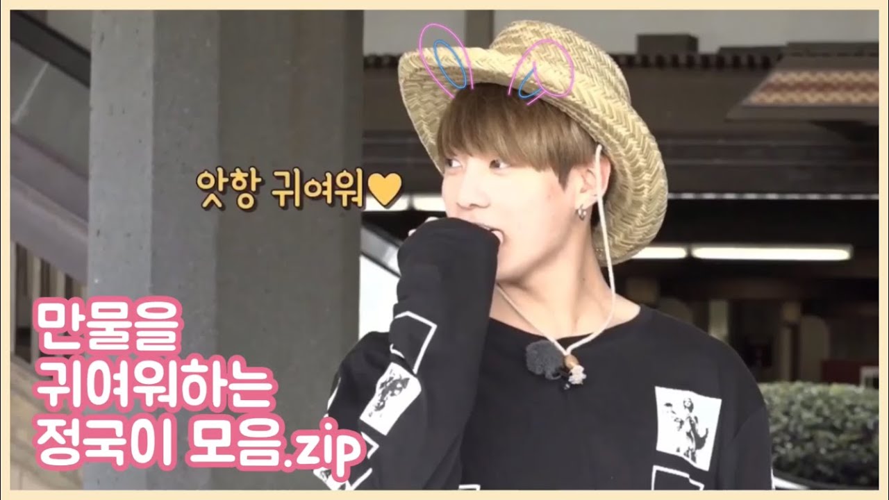 [방탄소년단 정국] 만물을 귀여워하는 정국이 모음