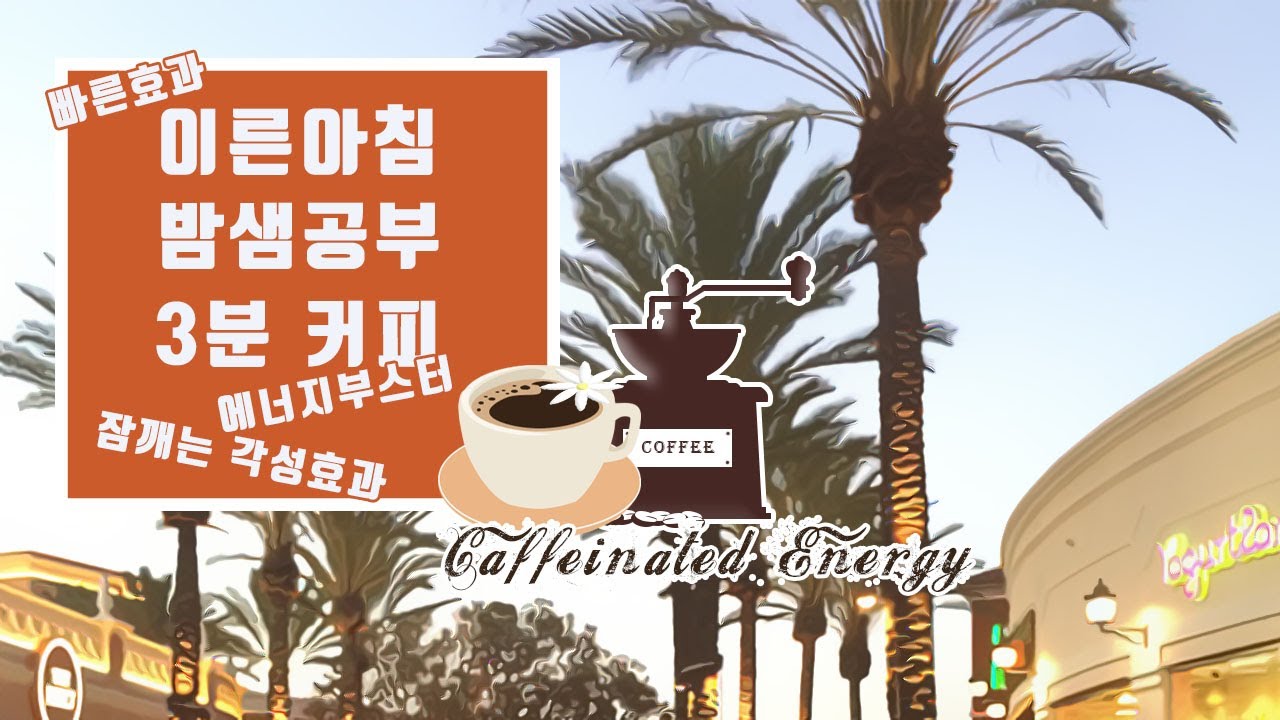 졸릴때 밤샐때 공부할때 이른아침에 빠른 각성 효과 커피 카페인 잠깨는 졸린뇌를 깨우는 에너지