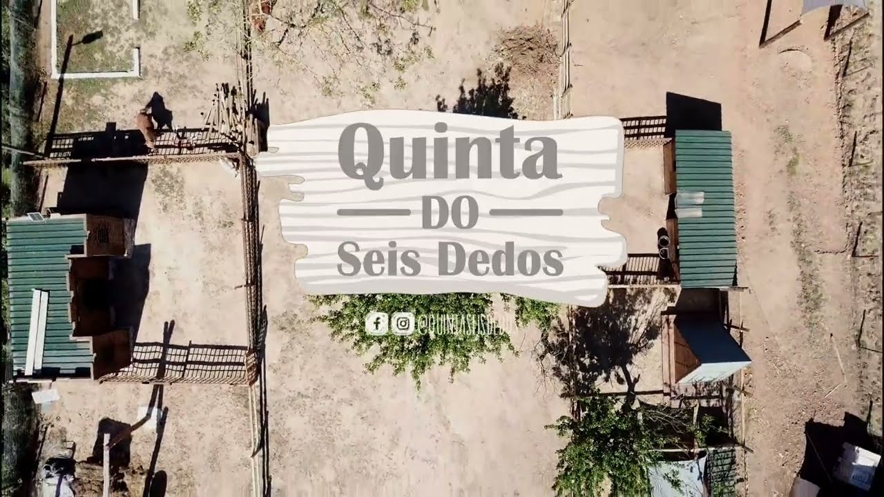 Quinta Seis Dedos