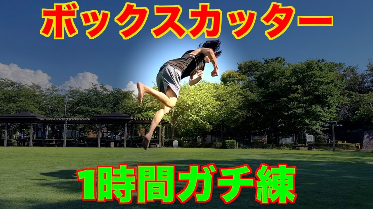 【トリッキング】人生初のボックスカッターに挑む動画