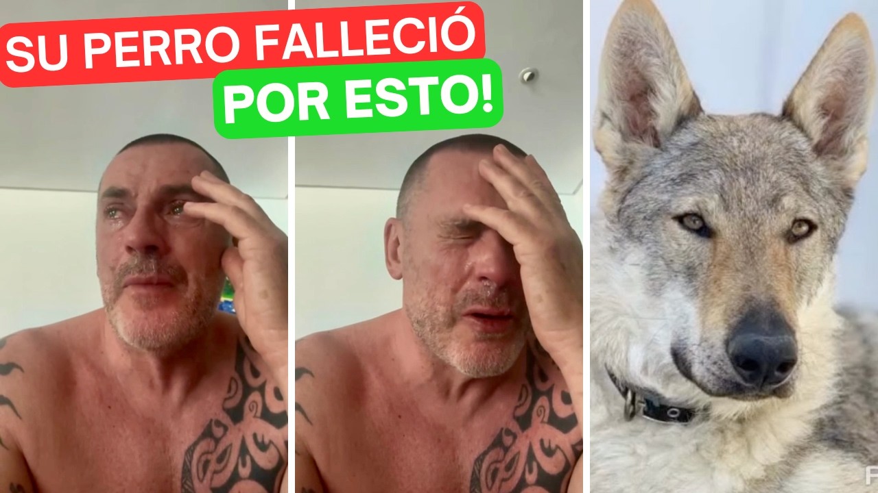 El calor ACABÓ CON LA VIDA de Ragnar el perro de DANI ESTEVE 🕊️