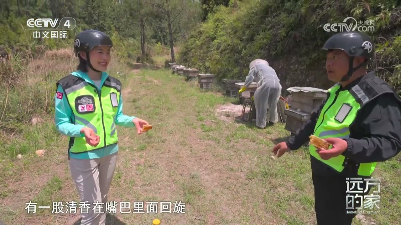 《远方的家》 20231213 沿海看中国（33） 仙游“仙境”|CCTV中文国际