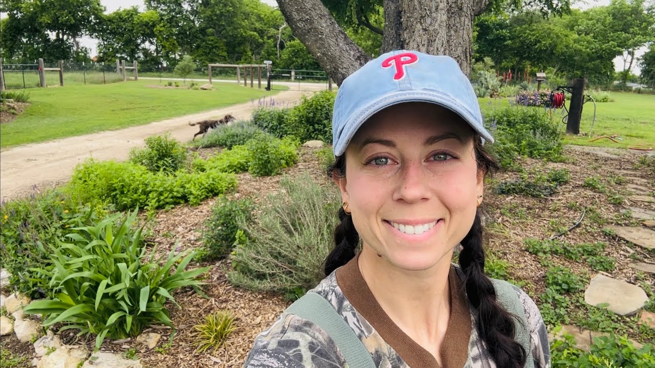 Texas Tough Shade Plant Tour! Plus My Favorite Tiny Hosta 🐭