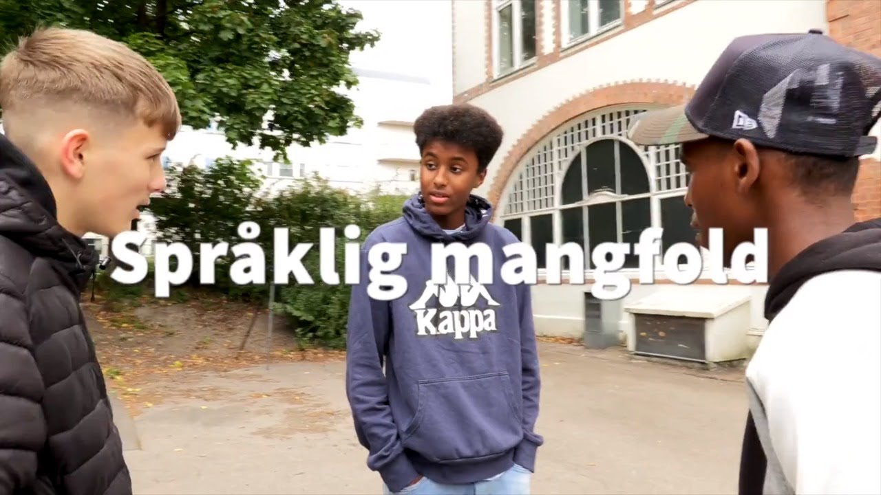 Språklig mangfold