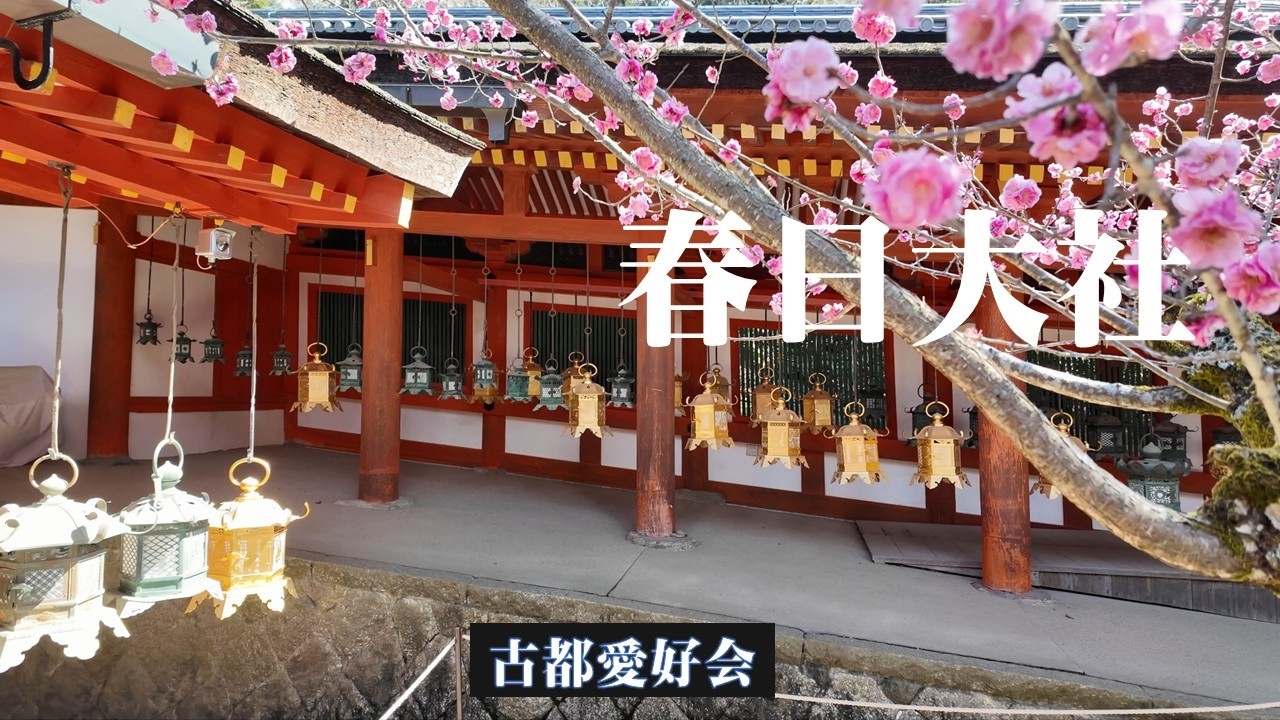 【世界文化遺産 春日大社】2026 「春日祭」3/13斎行「千古の森」の中の鮮やかな「朱塗りの社殿」