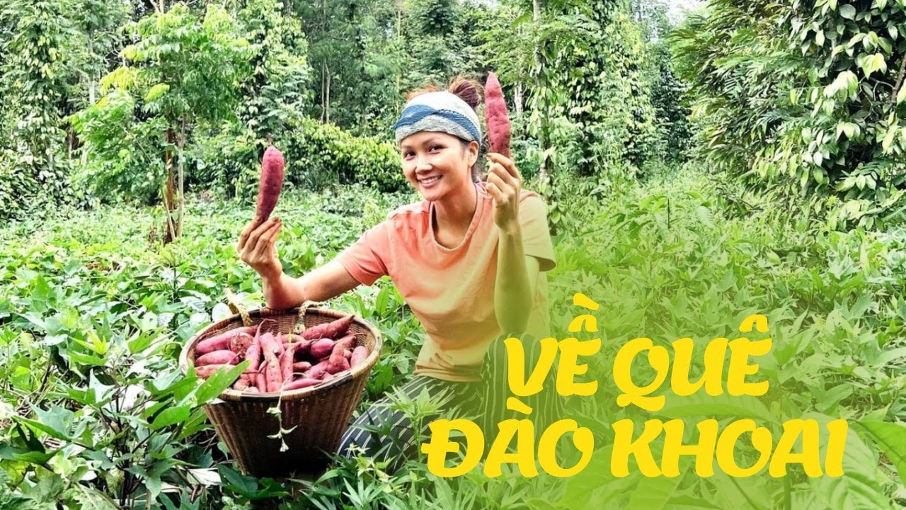 Cô Hen đi đào khoai nhà trồng - Digging up sweet potatoes in hometown | H'Hen Niê Official