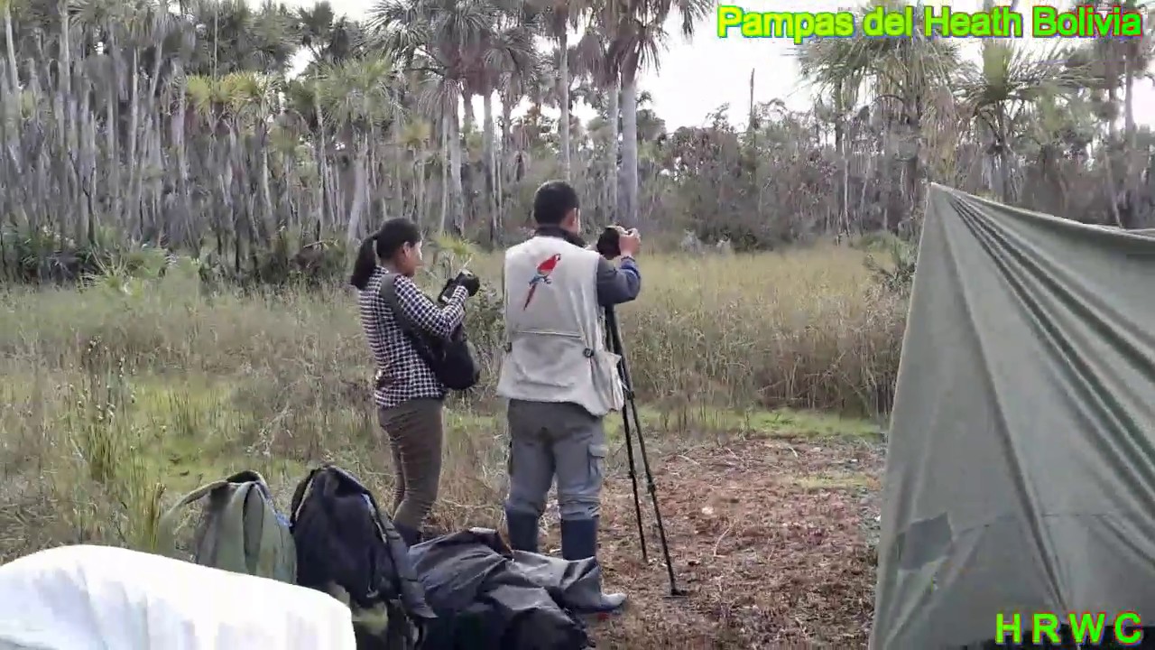 Pampas del Heath Bolivia