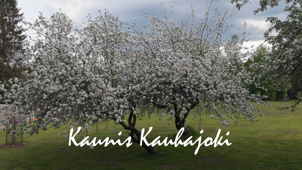 Jokirantapuiston upea puistoalue - Kauhajoki