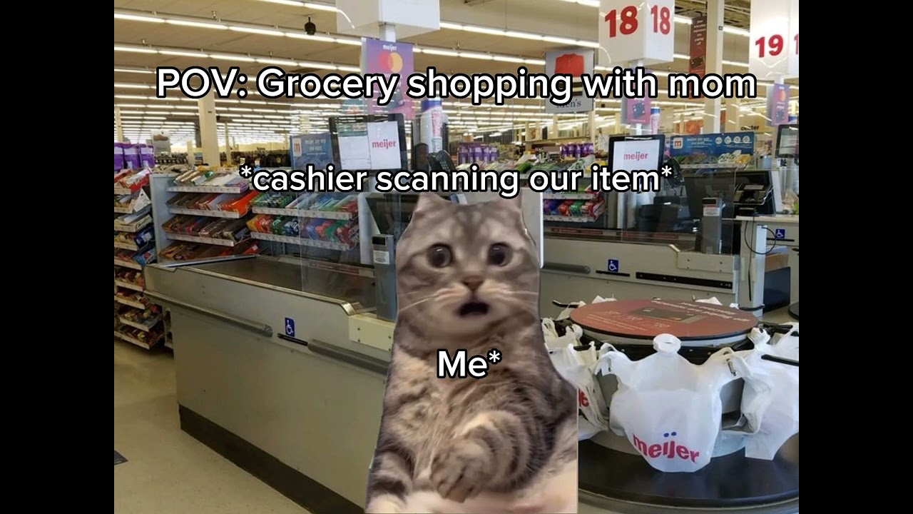 POV: Grocery shopping with mom #shorts #viral #cat #relatable #memes
