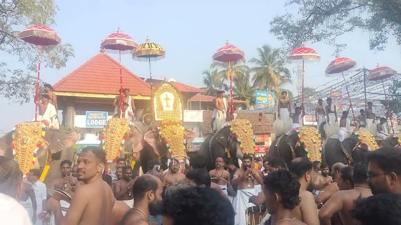 കൊടുങ്ങല്ലൂര്‍ താലപ്പൊലി 2026 #kodungallurdevitemple #kodungalloor #kodungallurthalappoli #shortfeed