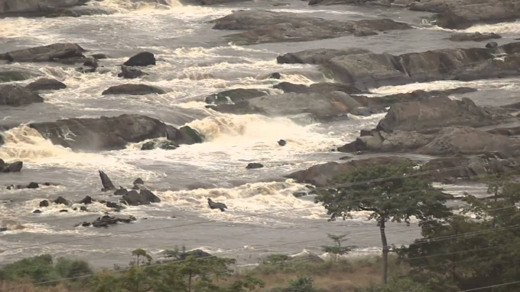 Les eaux du bassin du Congo, une richesse à partager