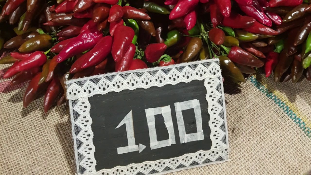 Promo MalaChianta in Festa 2019