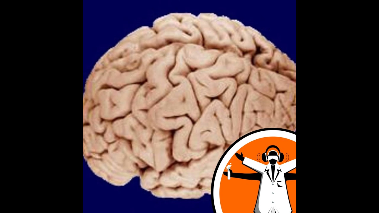 Communicating with Patients in Persistent Vegetative States
