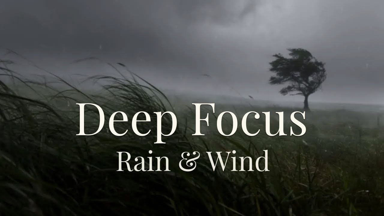 10 Hours Lofi for Deep Focus｜睡眠・深い集中・長時間作業｜横殴りの雨と風に揺れる草原｜Sunlit Meadow Lo-Fi