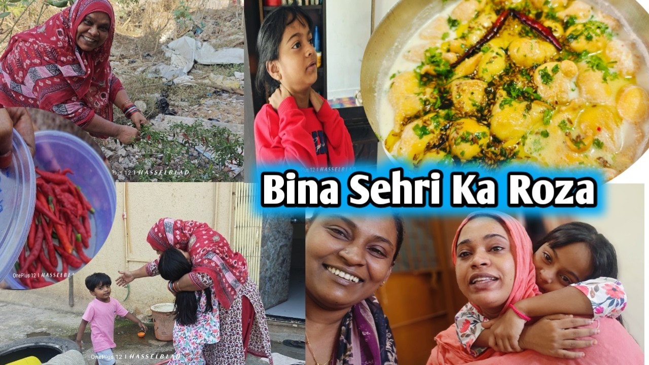 Sab Ko Diya Surprise 🫢 Ammi Ne Kiye Chilli Harvesting | gulbarga K Dahi Phulka Recipe