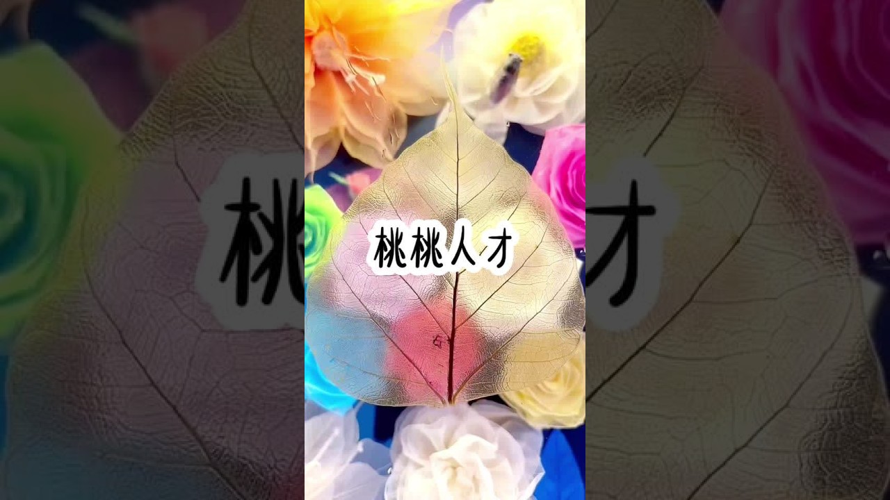 桃桃人才#已完结 #学生党 #高考加油 @DOU+小助手