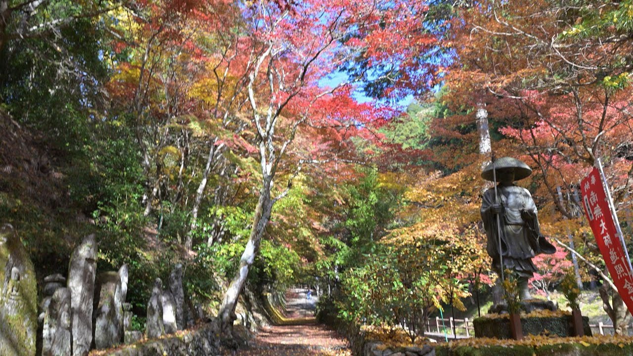 紅葉を求めて　丹波の古刹・もみじ寺　石龕寺　丹波市山南町