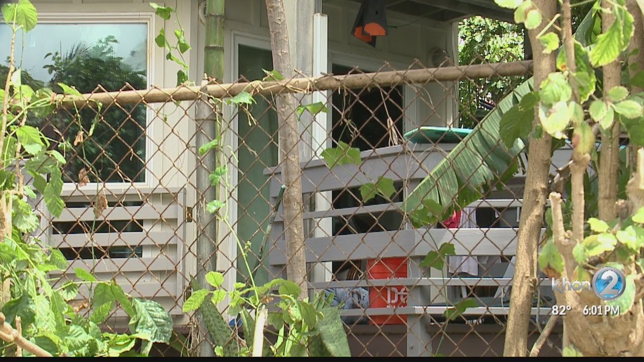 Man shot, killed during standoff with police on Oahu's North Shore