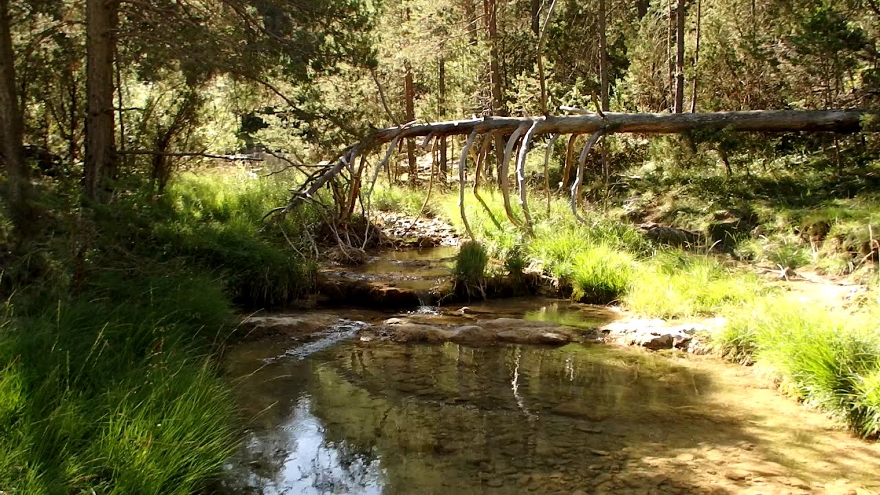 Barranco de Las Umbrías (Gúdar)