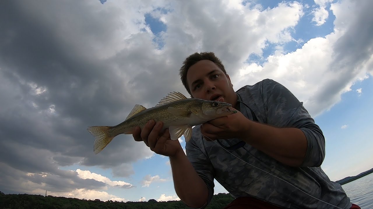Walleye Fishing At Brookville Lake in Indiana