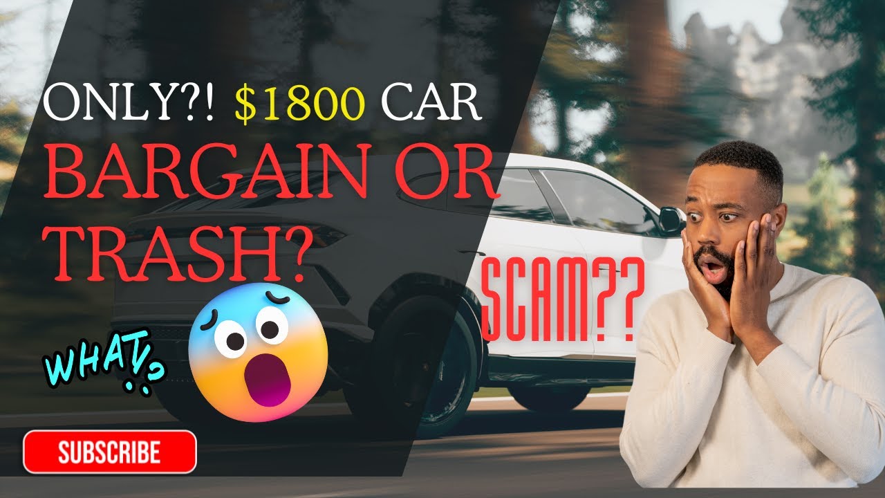 Buying Second Hand Car In Australia || We Bought This Car for $1800… You Won’t Believe It!