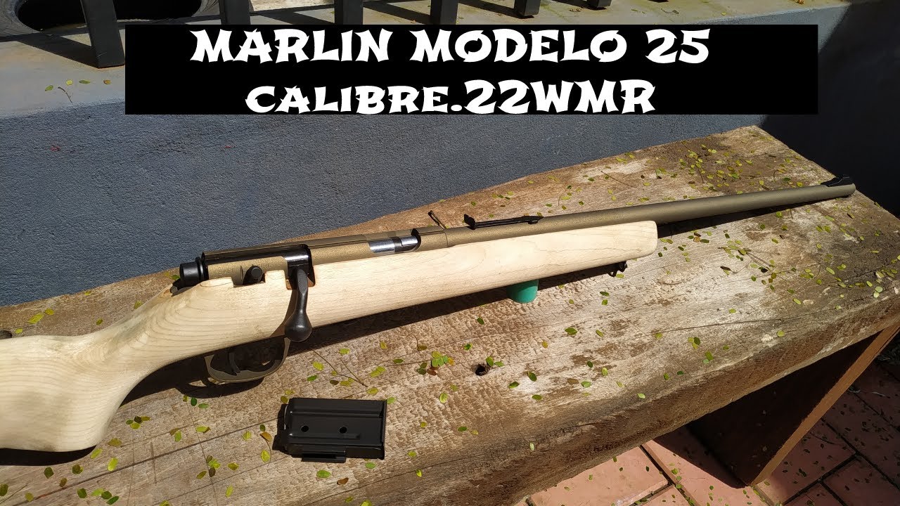 Desarme completo de Marlin model 25 calib.22WMR (desmontando  rifle marlin a ferrolho)( disassembly)