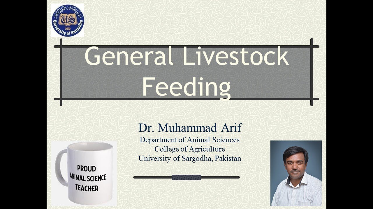 General Livestock Feeding (Basic feeding) #animalscience #animalnutrition #livestockfeeding
