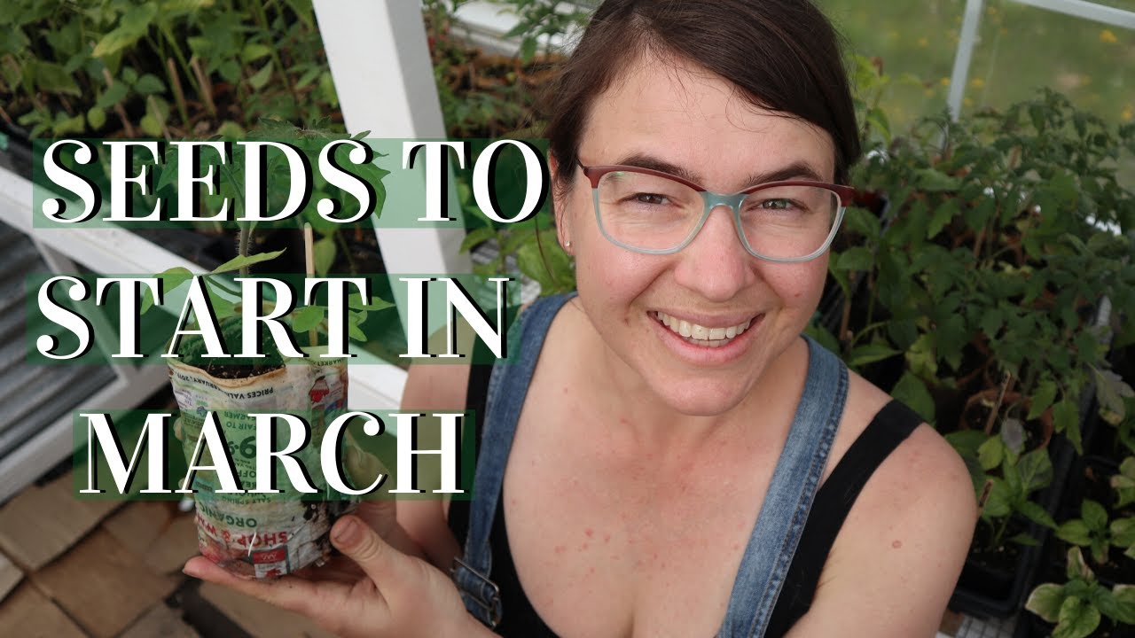 Top Veggies to Plant in March
