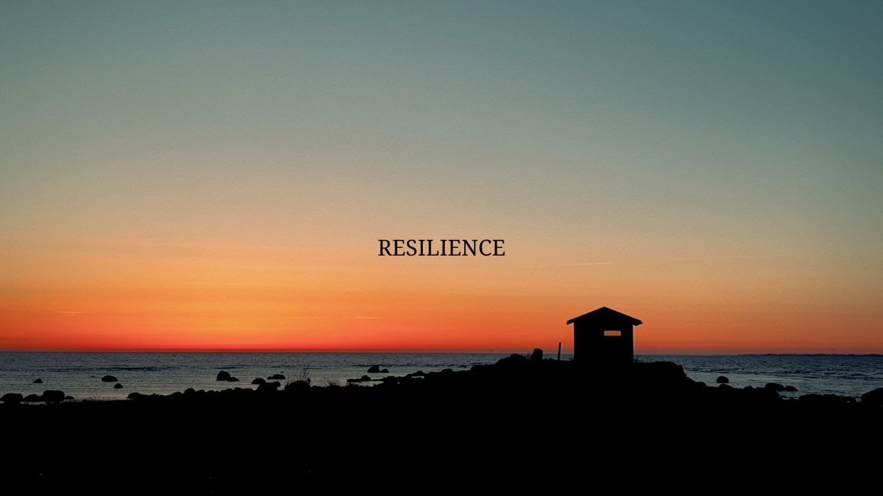 Resilience - A Cinematic 4K Dji Avata Footage from Estonia 🇪🇪