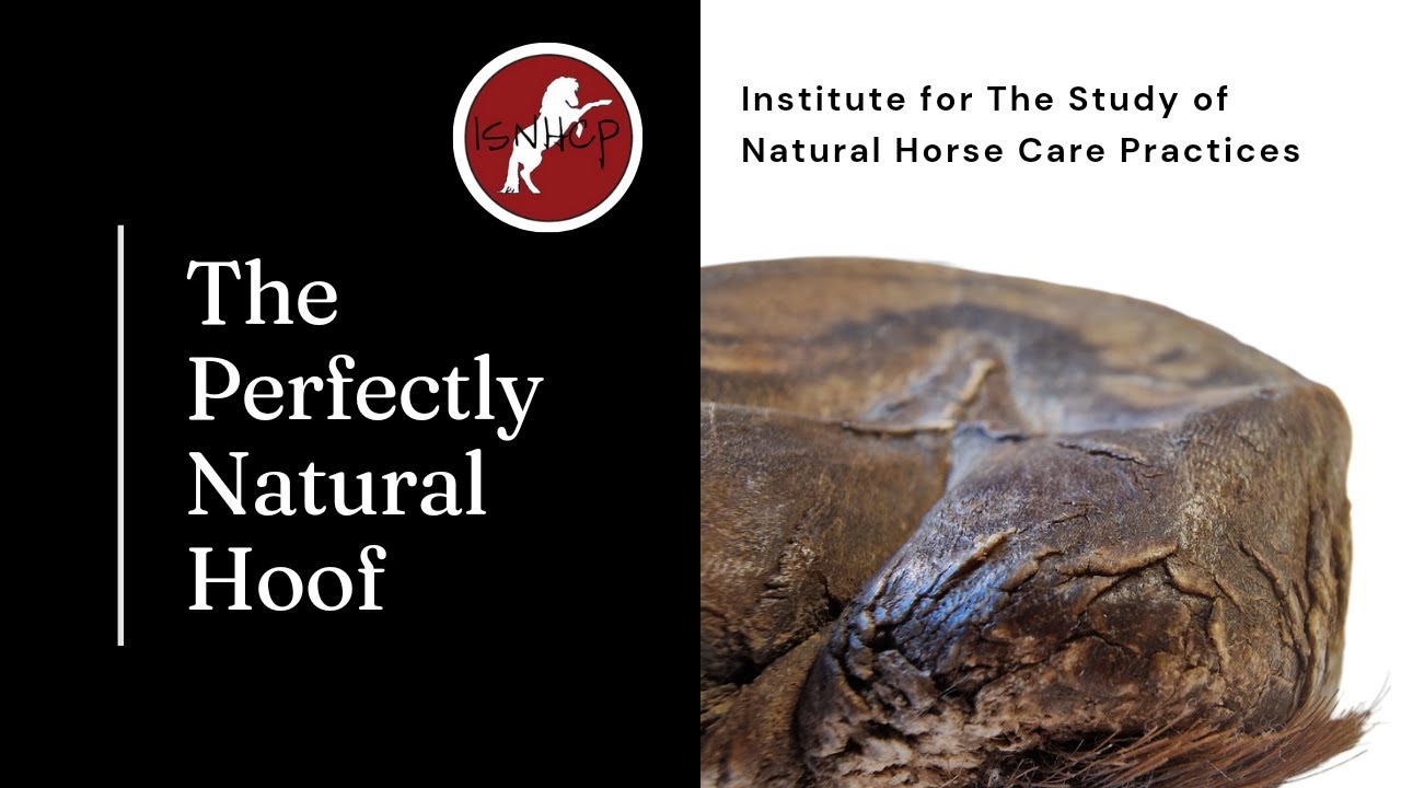 Perfectly Natural Hoof