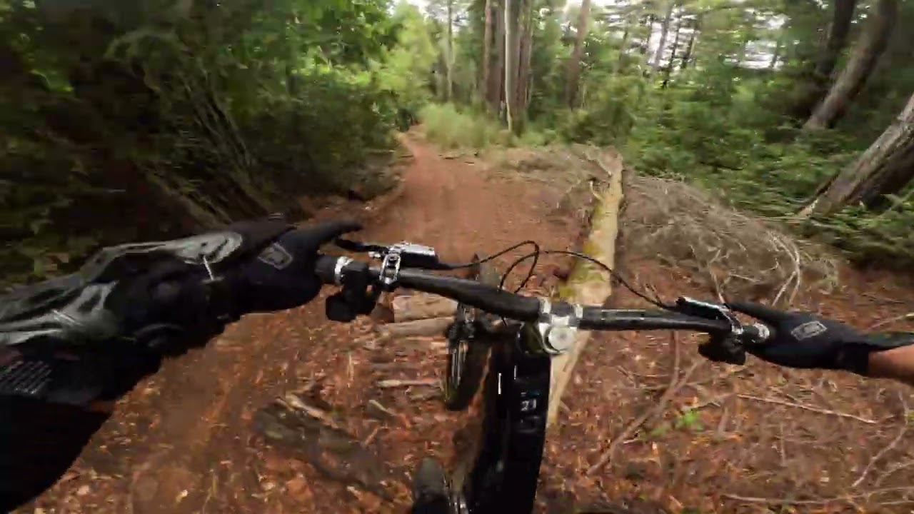 UCSC MTB | Classic Sweetness | Mondraker RR SL | 10.4.25