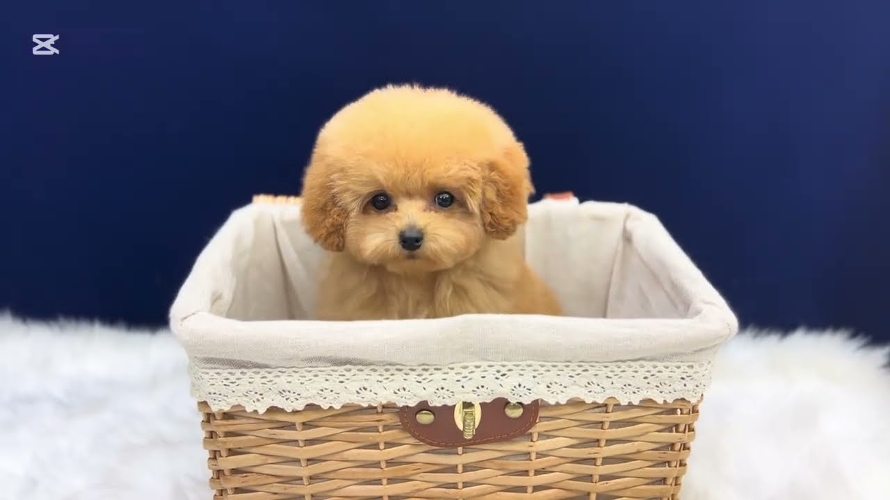 むちむち甘えん坊な僕ちゃん💕