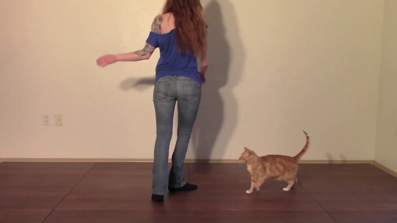 Have Fun Go Mad (Line Dance) — Демонстрация и обучение