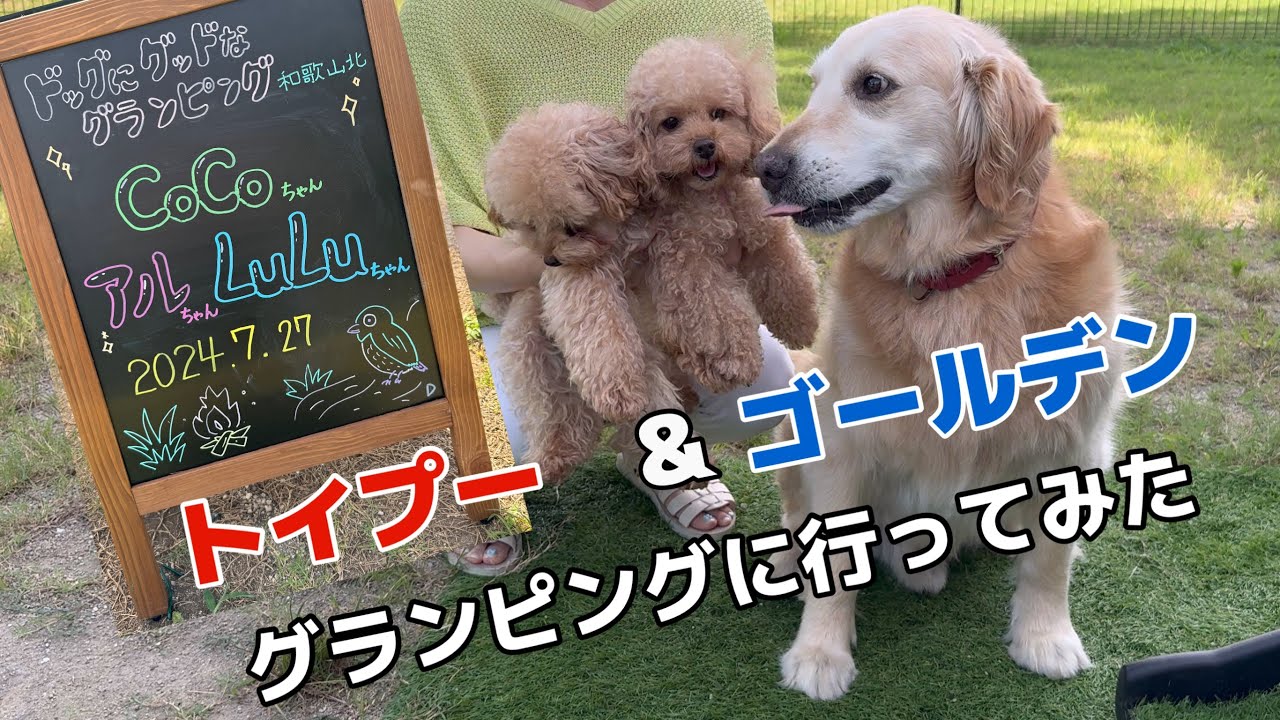 【祝！1周年】友達のゴールデンと一緒に最高のグランピング体験しました