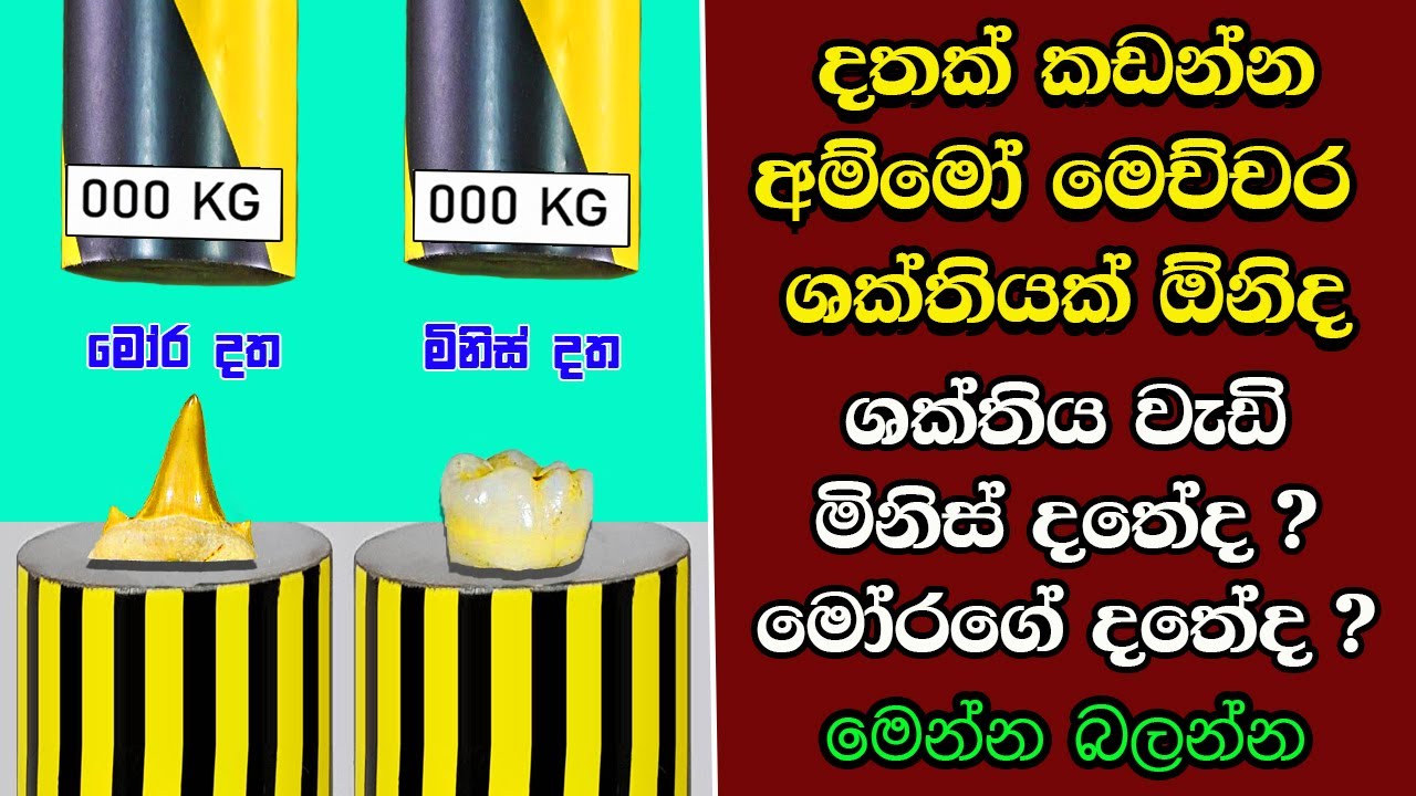 ඔබ මේවා දකින්නේ ජිවිතේ පළමු වතාවට EP:320