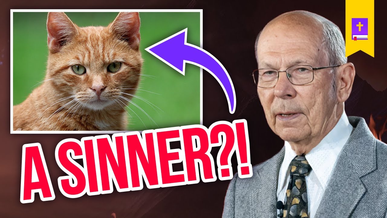 Cat's Are Sinners?! Examining An SDA Pastor's Bizarre Analogy