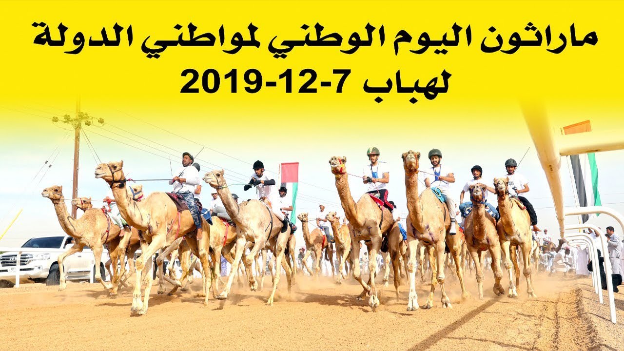ماراثون اليوم الوطني - الهباب 7-12-2019 الاتحادي لـ سعيد محمد العصري سعيد الخيلي  27:22